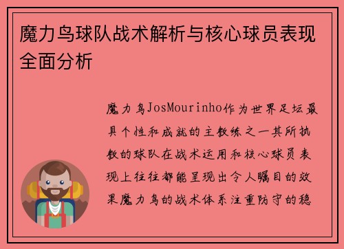 魔力鸟球队战术解析与核心球员表现全面分析